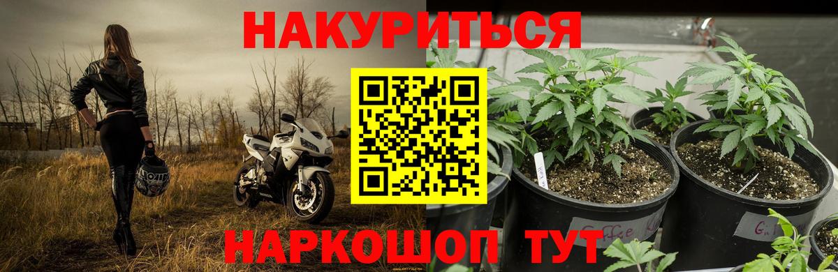 Марихуана планчик  Бошки Шишки THC 21%  Конопля OG Kush  Вход с VPN  Стрежевой 